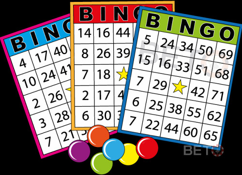 Bin Play Bingo. Play Online Big Wins In Bingo.