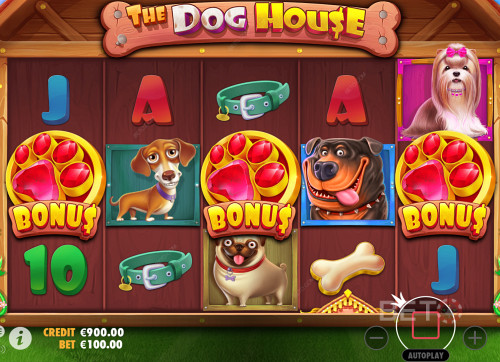Getting Three Scatter Symbols In The Dog House