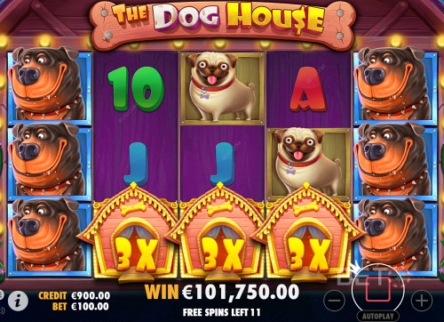 Landing A High-Paying Combo On The Reels Of The Dog House