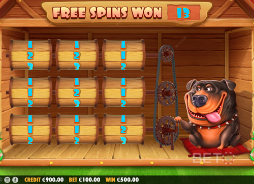 Winning Free Spins In The Unique Bonus Of The Dog House