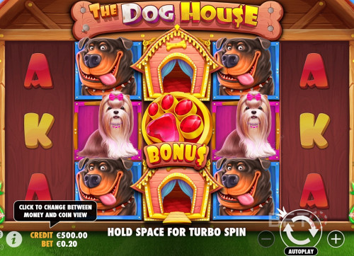 Getting A Special Bonus In The Dog House