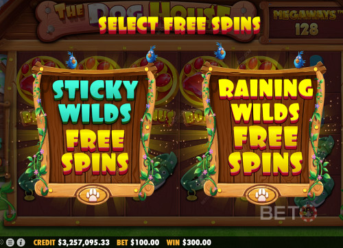 Two Wild Free Spins Mode Available