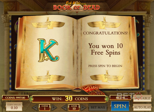 Winning Free Spins In Book Of Dead