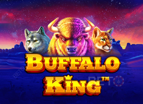 Buffalo King 