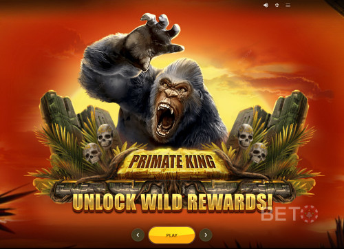 Alluring Graphics Of Primate King Slot