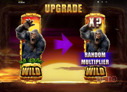 Upgrade To Random Multipliers And Win Big 