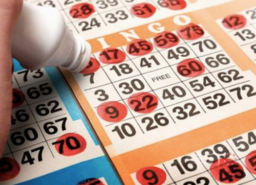 Play Bingo Online And Win The Big Jackpot.