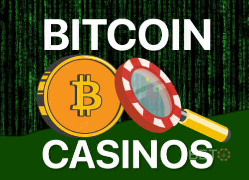 Bitcoin Casinos & Best Platforms For Crypto Gaming in 2025
