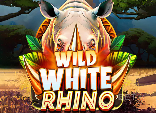Wild White Rhino