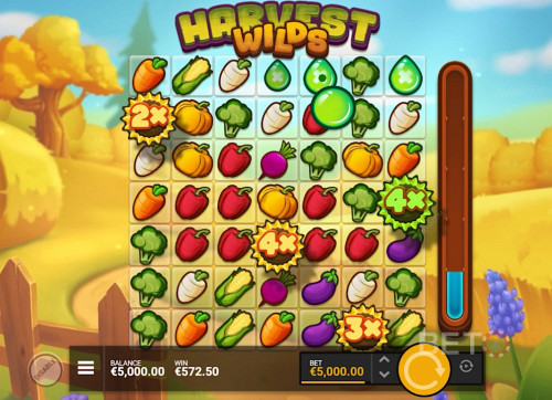Land Wild Multiplier Sunflowers And Improve Your Chances Of Winning Big
