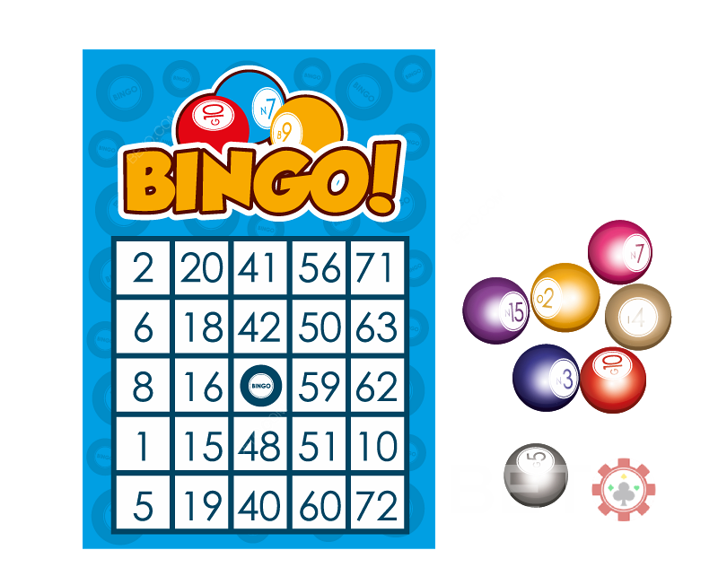 BETO.com Spielerführer zu Bingo