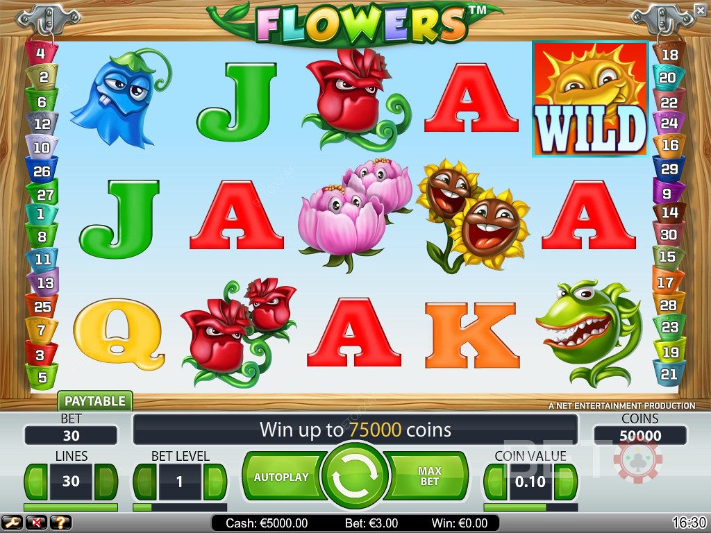 Flowers Online Slot