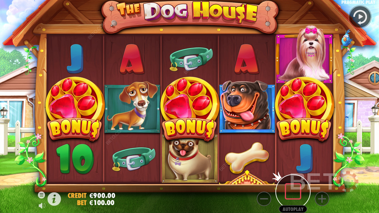 Getting Three Scatter Symbols in The Dog House