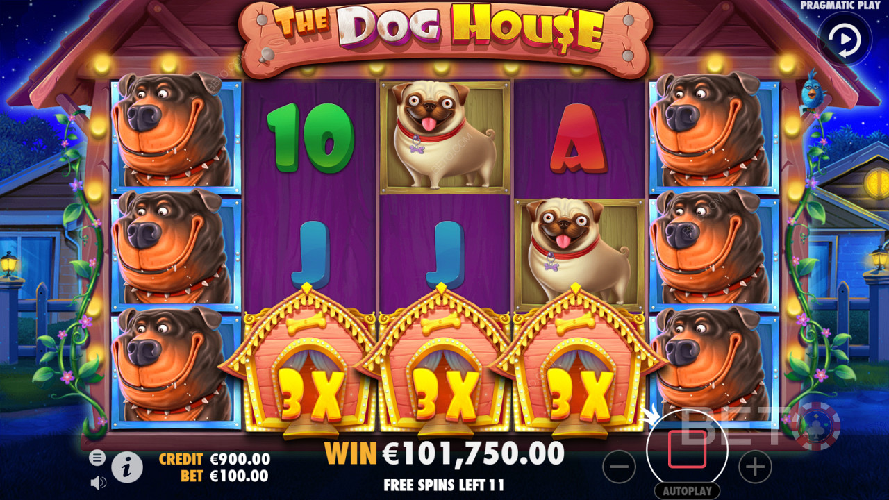 Landing a High-Paying Combo on the reels of The Dog House