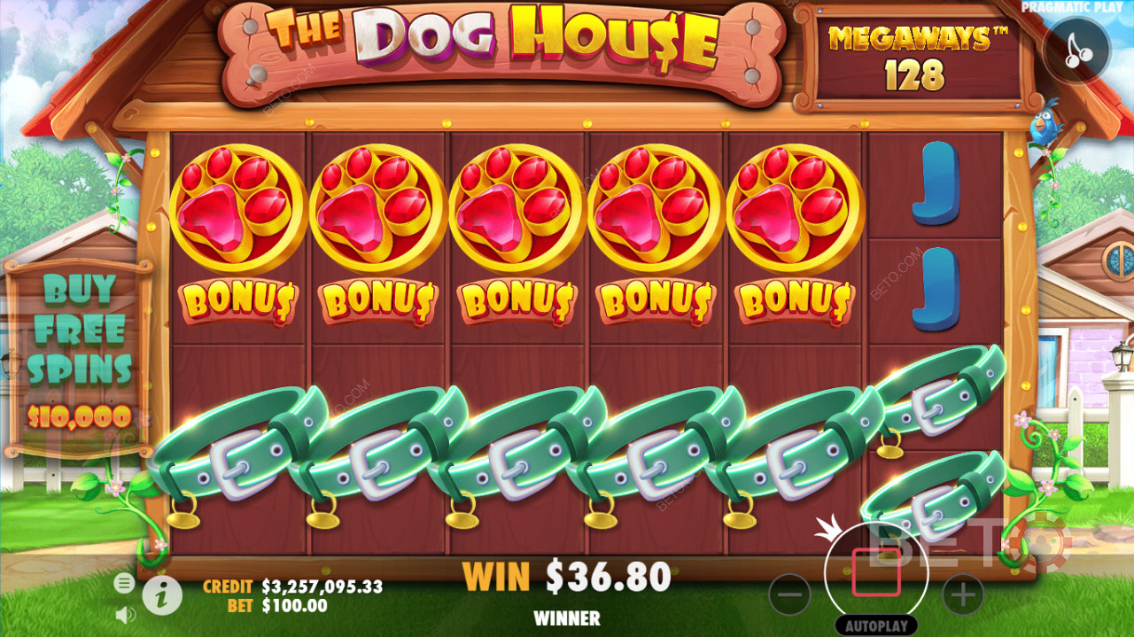 A detailed gameplay interface of The Dog House Megaways casinos slots