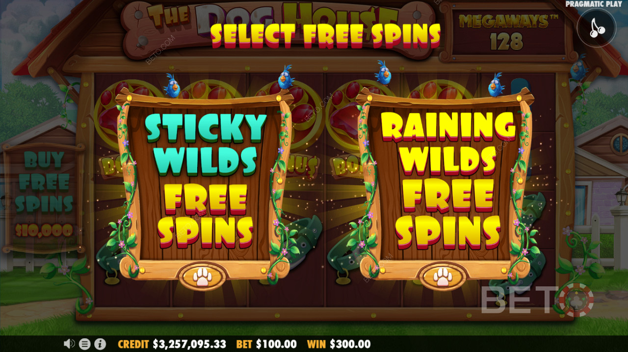 Two Free Spins mode available - A Sticky Wilds Free Spins or Raining Wilds Free Spins feature