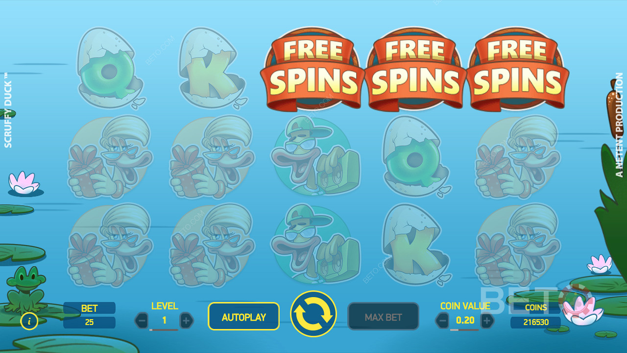 Look out for free spins feature and don