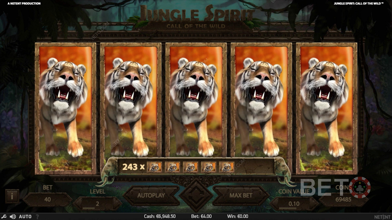 Top Win During Free Spins in Jungle Spirit: Call of the Wild