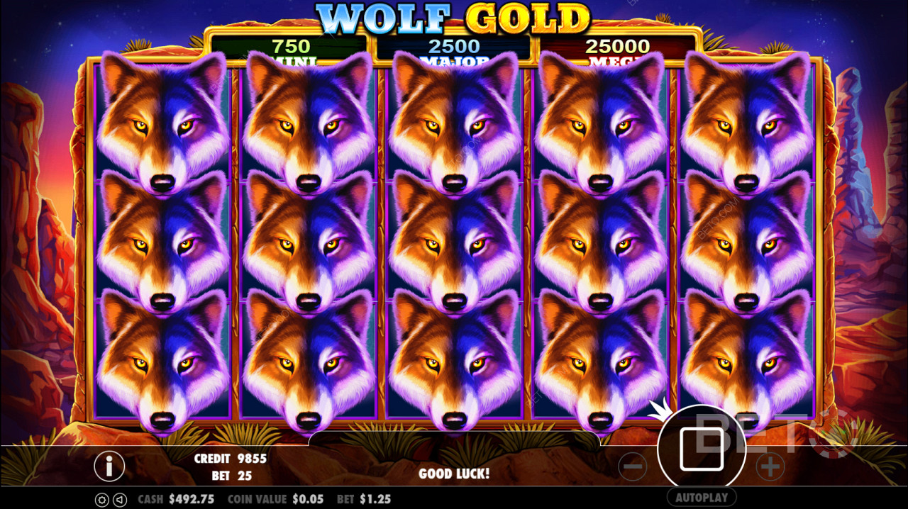 Wolf Gold Scatter symbol triggers the Free Spin round