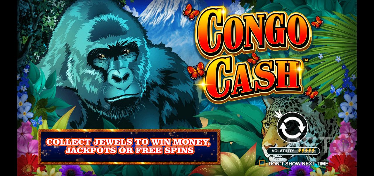 Congo Cash - join the Silverback in a jungle adventure