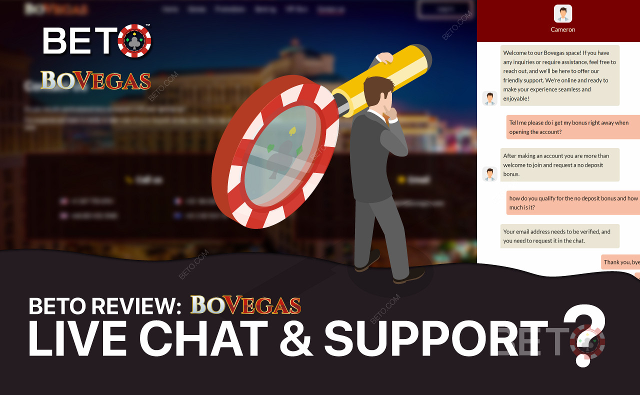 BoVegas casino team is always ready to help