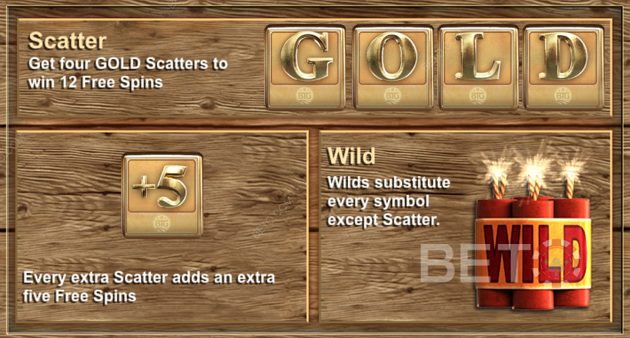 Find the Scatters symbols to win Free Spins