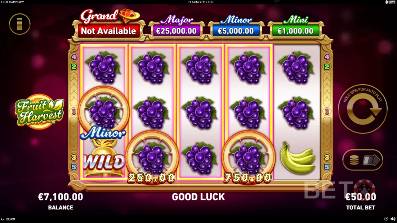 Bonus Features Explained in Fruit Harvest by Rarestone Gaming