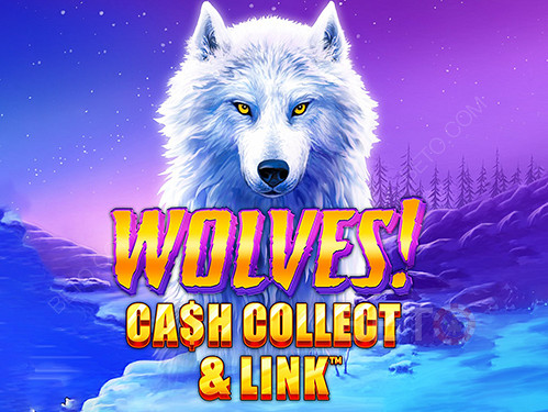 Wolves! Cash Collect & Link slot