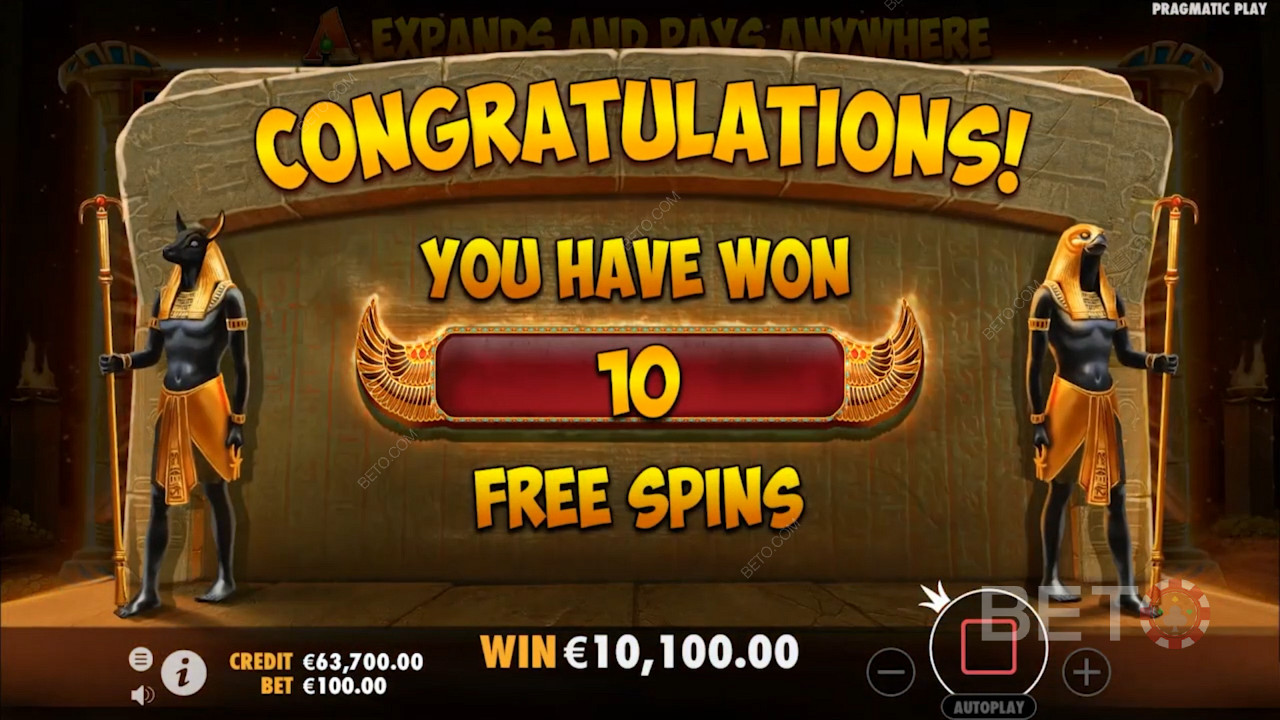 Getting Free Spins in John Hunter And The Book Of Tut