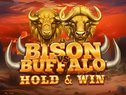 Bison casino
