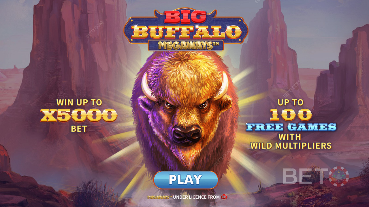 Win up to 5,000x your bet in Big Buffalo Megaways