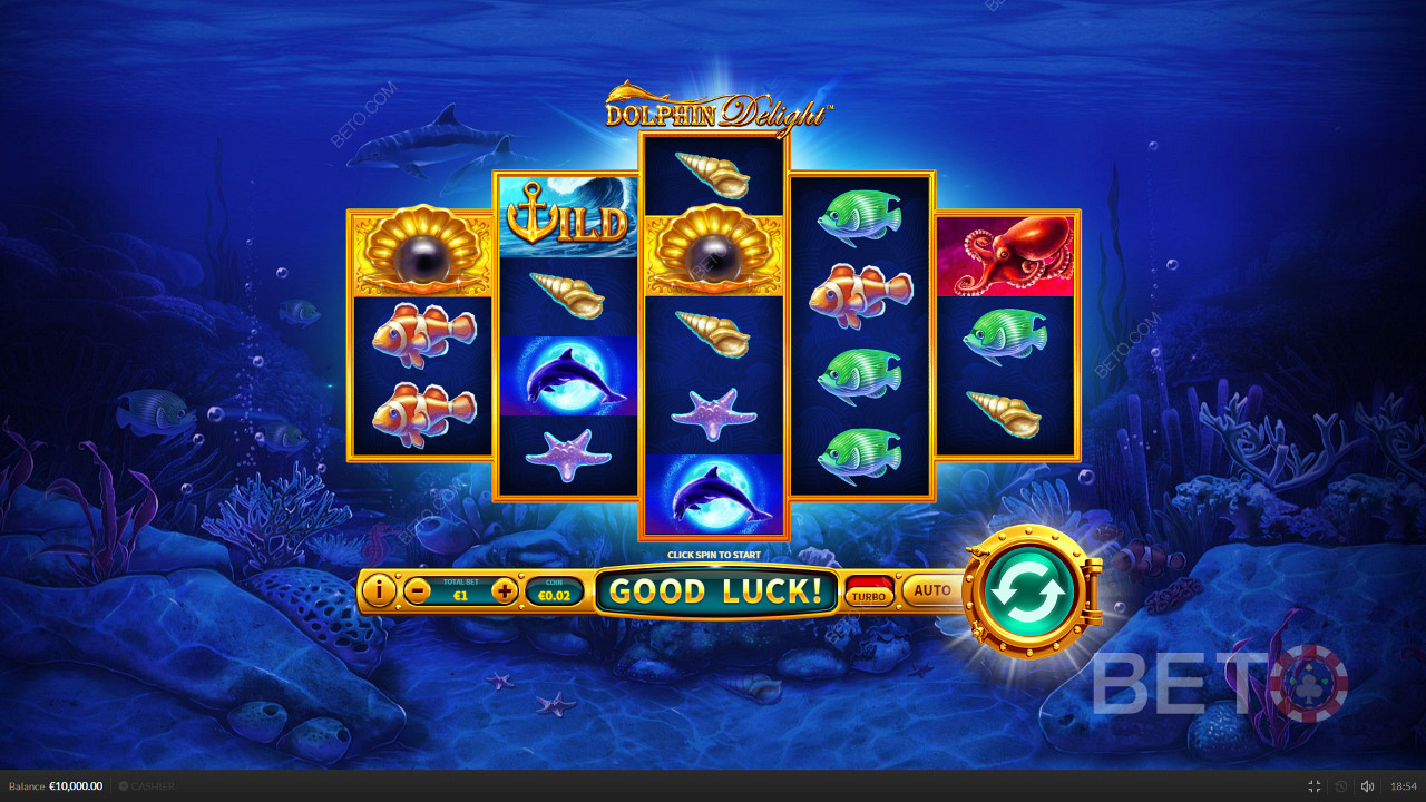 Dolphin Delight  Free Play