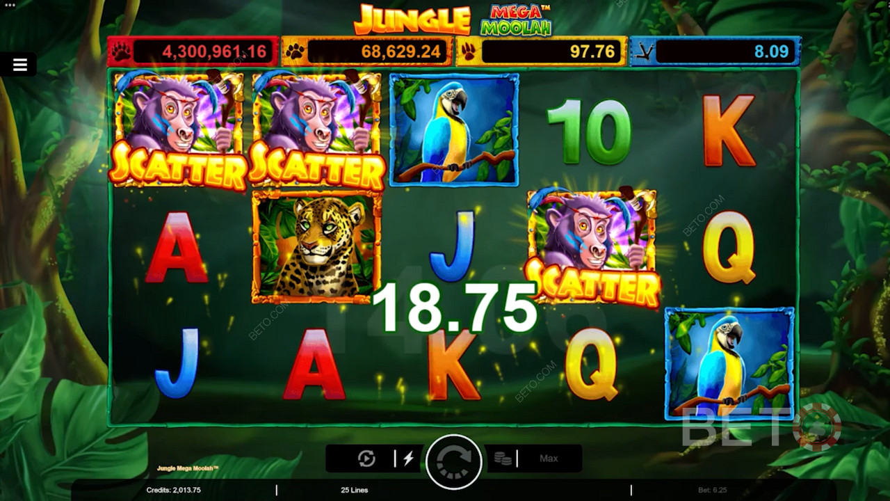 Land 3 Monkey Scatter to trigger Free Spins in Jungle Mega Moolah online slot game