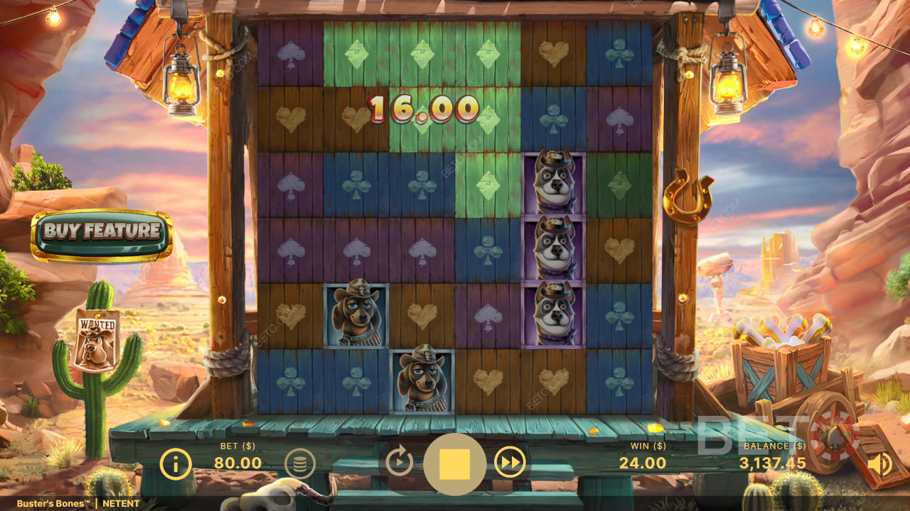 Theme & Design: Canine Western Adventure