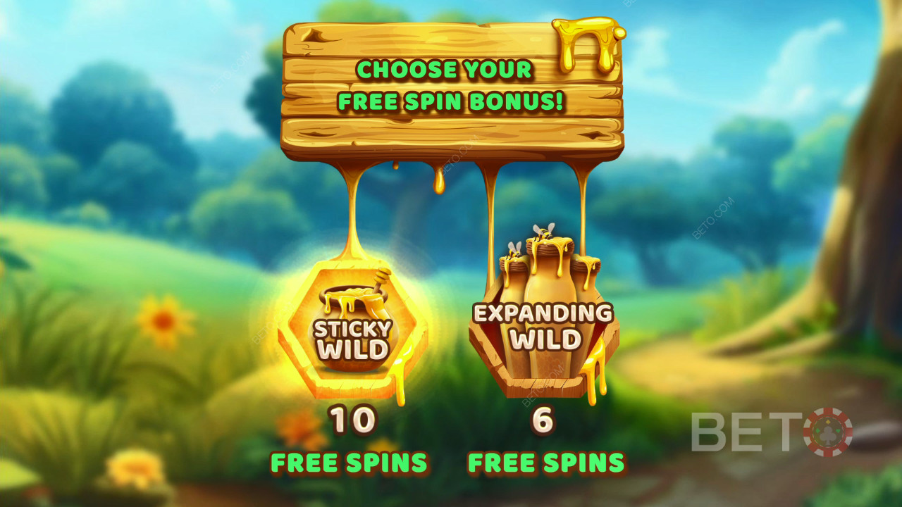 Theme & Design: Bee Adventure Quest