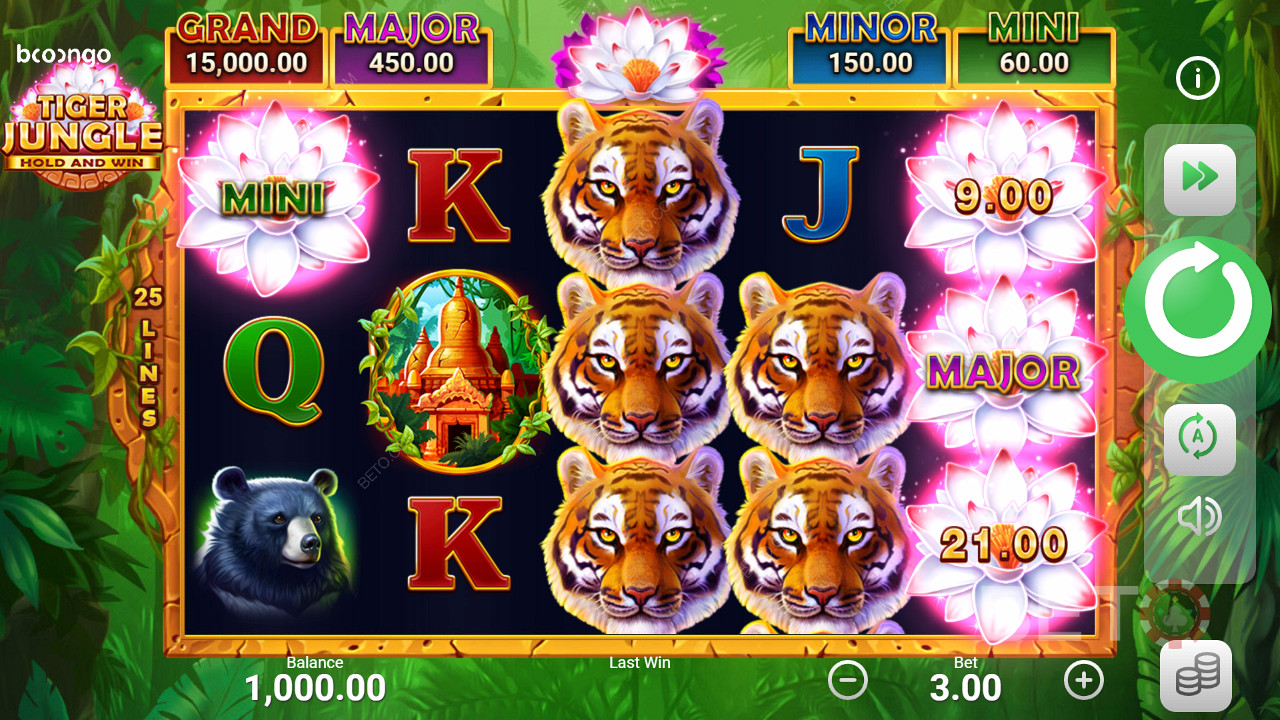 Land jackpots in slots like Tiger Jungle Hold and Win