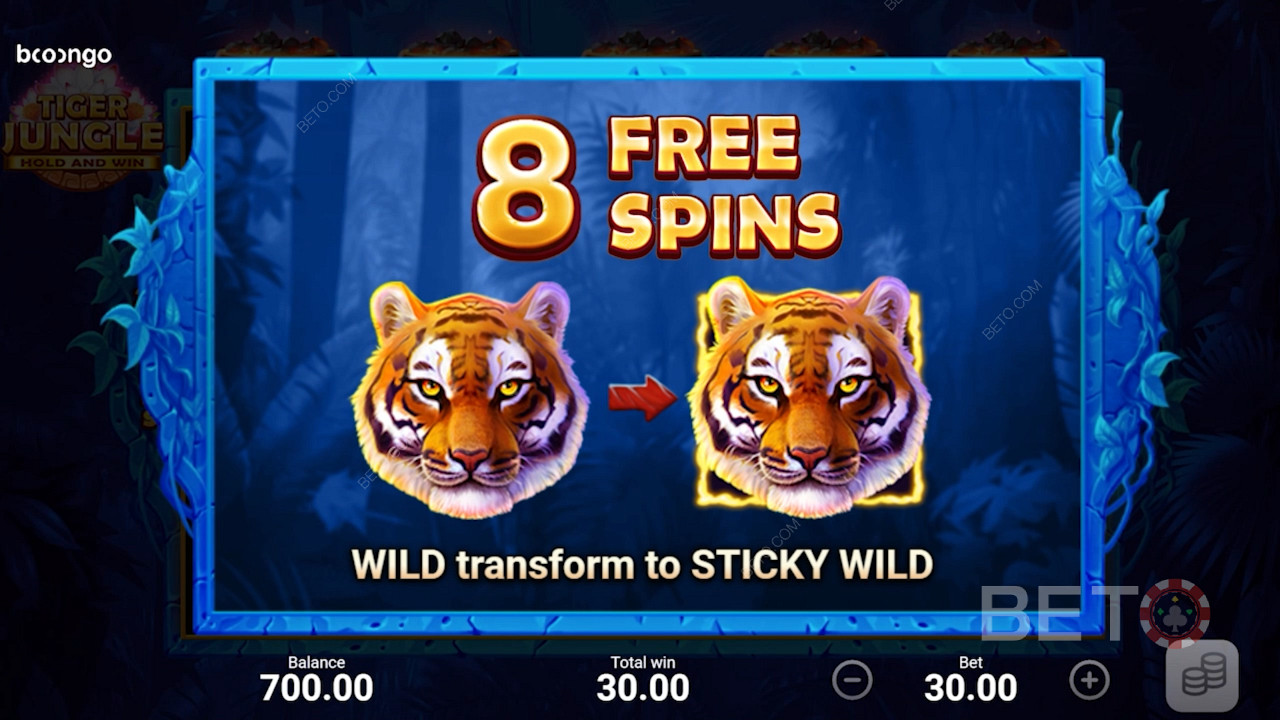 You are given 8 Free Spins and all wilds become Sticky Wilds during the Free Spins round