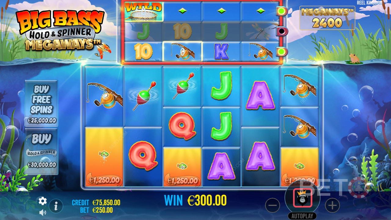 How to Play Reel Kingdom