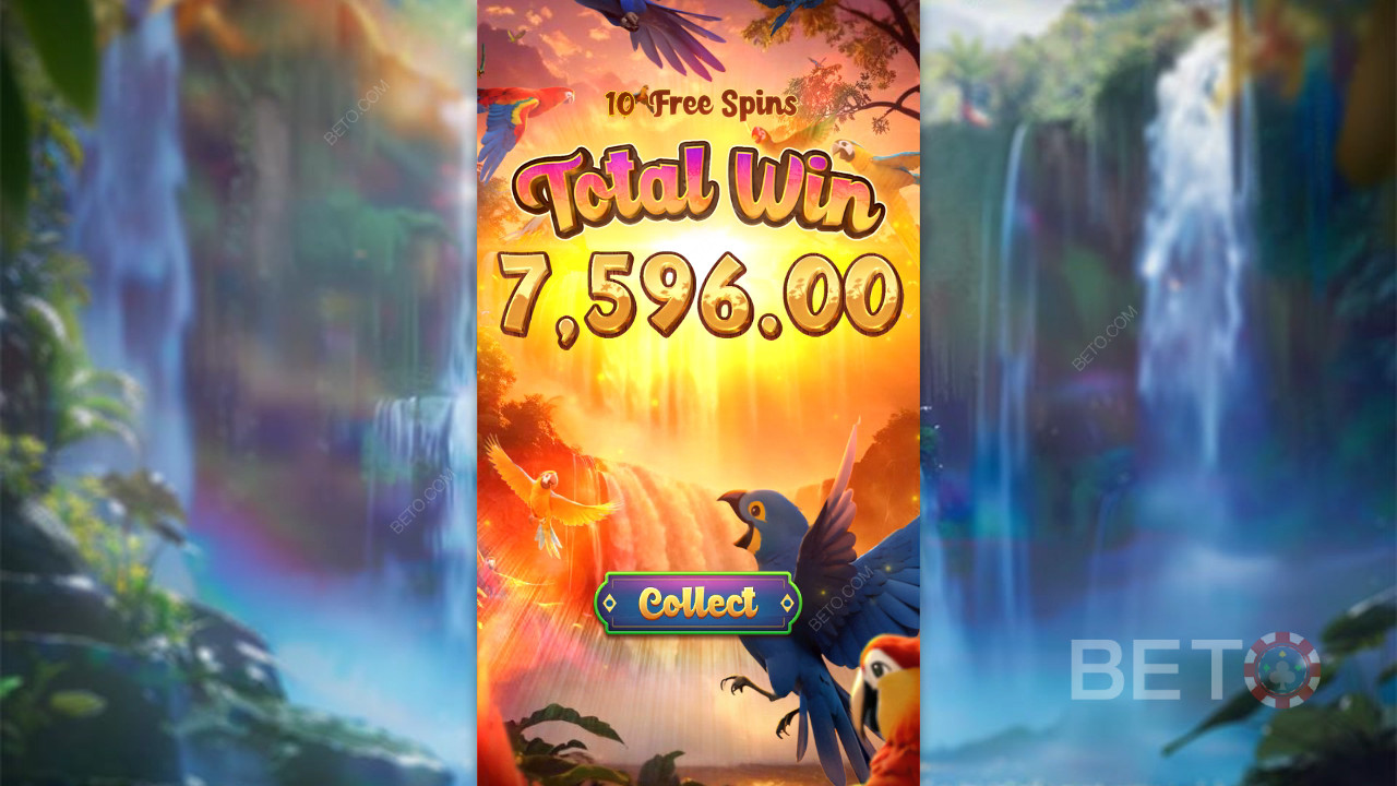 Wings of Iguazu - Yay or Nay