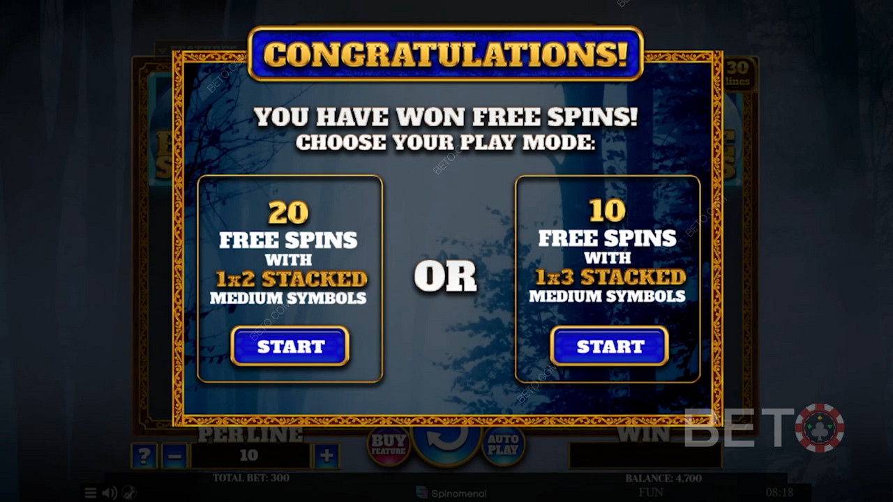 Activate the Free Spins mode and choose from 2 types of Free Spins bonuses