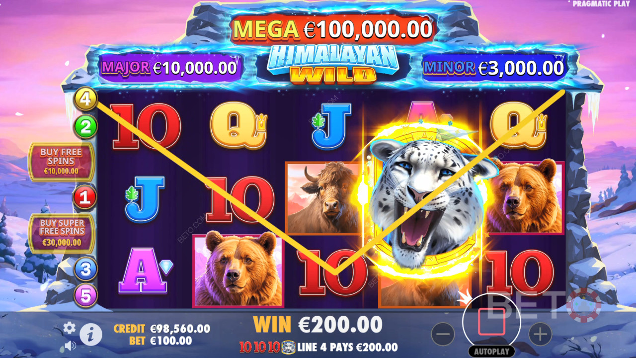 Himalayan Wild Free Play