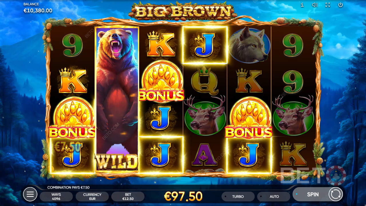 Big Brown Free Play