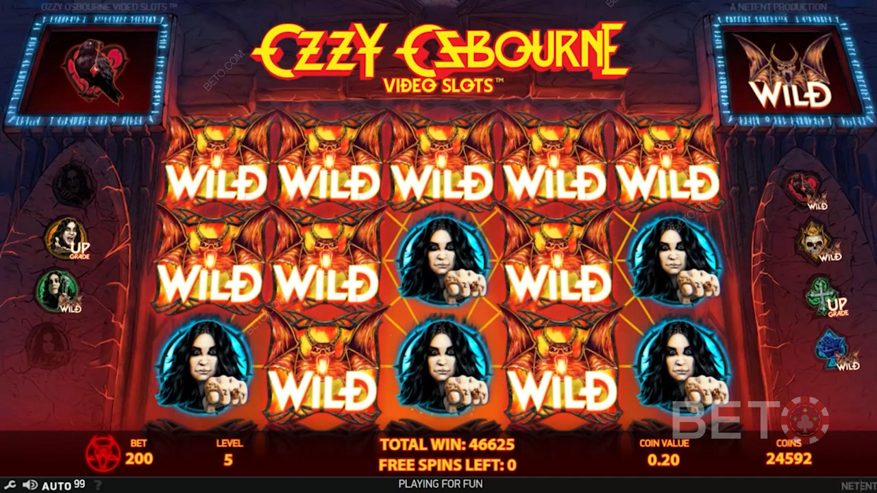 Enjoy massive wins in Free Spins because of features applied to various symbols