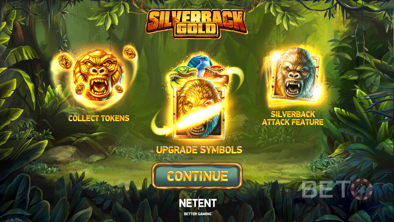 silverback ape silverback ape