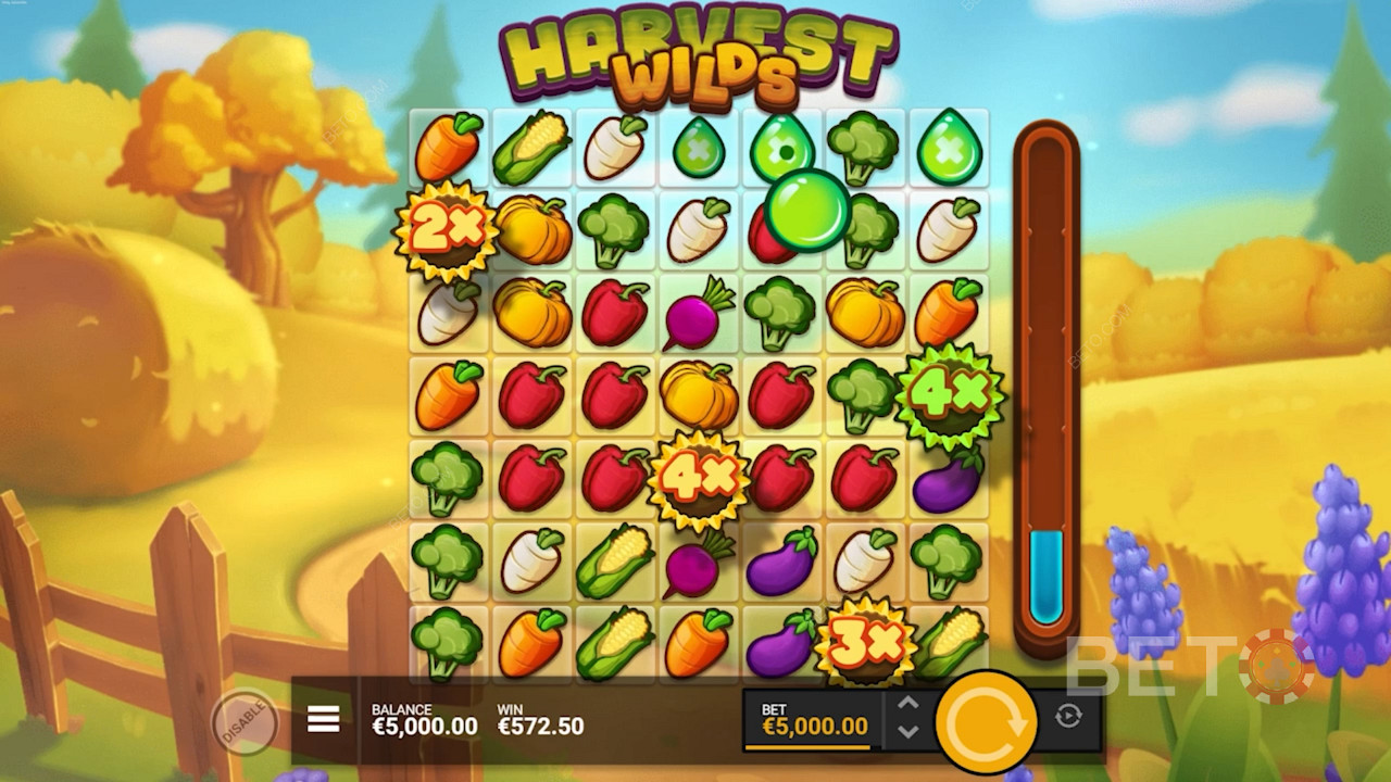 Land Wild Multiplier Sunflowers and improve your chances of winning big