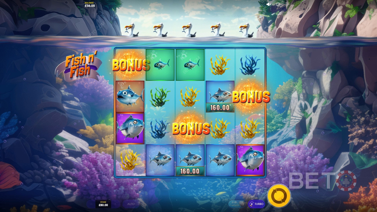 Fish n' Fish Free Play