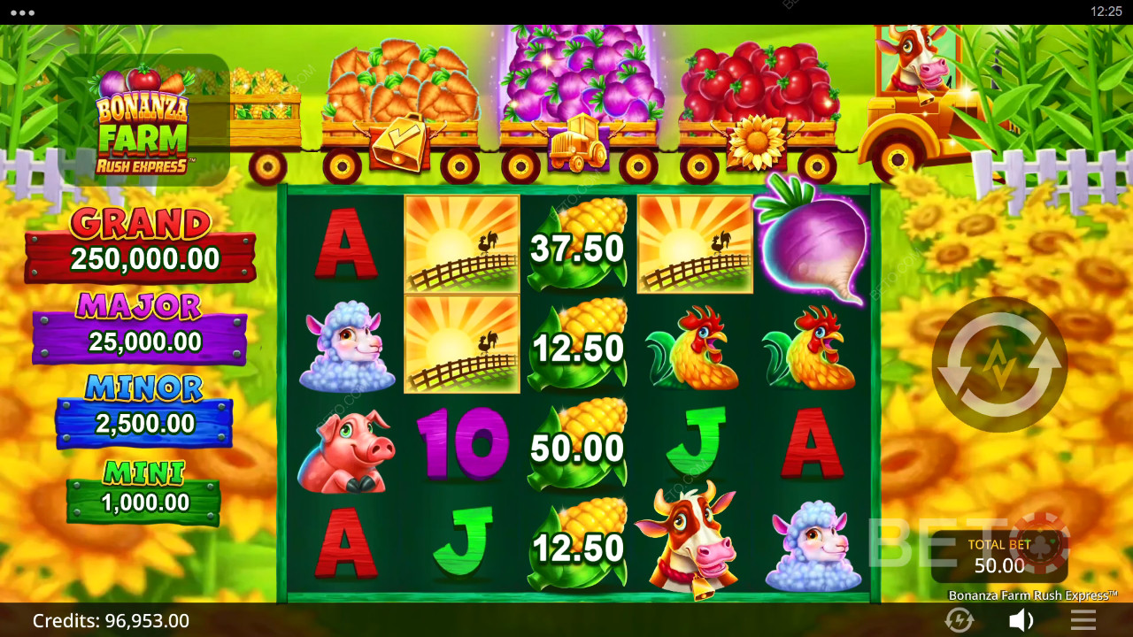 Bonanza Farm Rush Express Free Play