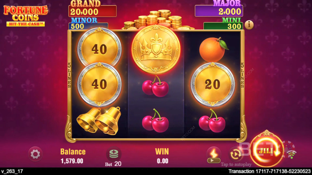 Fortune Coins Free Play