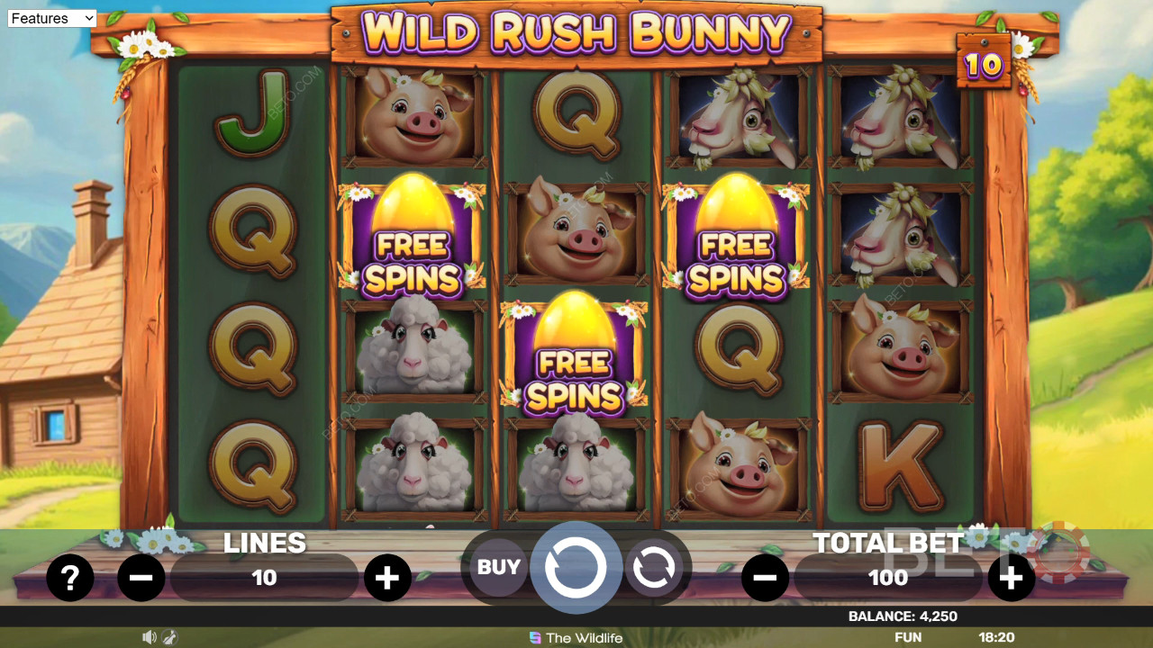 Wild Rush Bunny