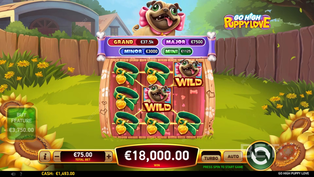 Go High Puppy Love Free Play